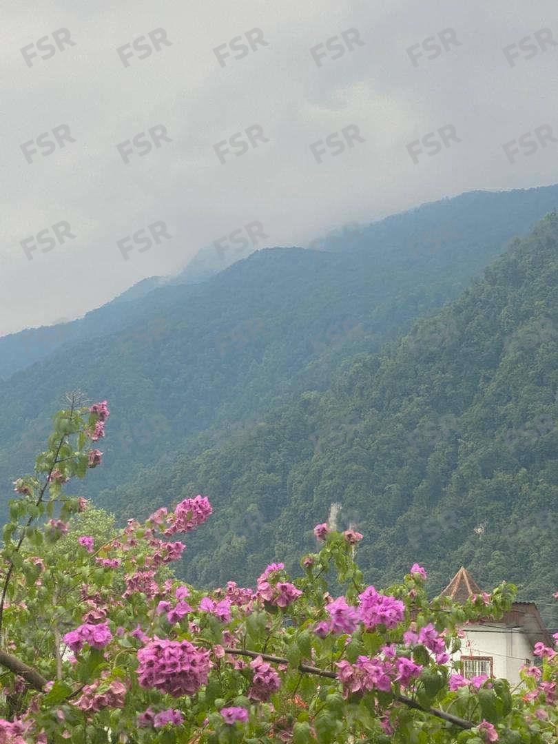ویلا دوبلکس جنگلی