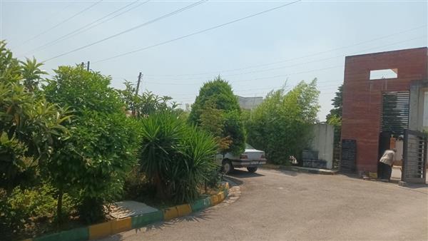 زمین شهرکی در نور 