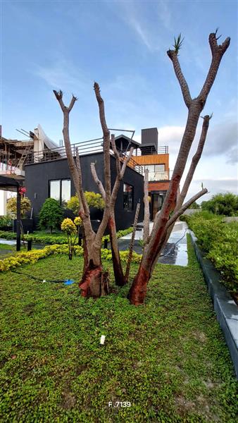 ویلا دوبلکس شهرکی