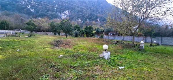 فروش زمین پلاک یک جنگل