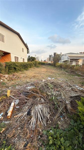 شهرک کوه نور