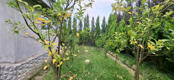 زمین 400 متری