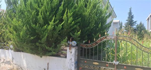 فروش زمین بافت مسکونی 