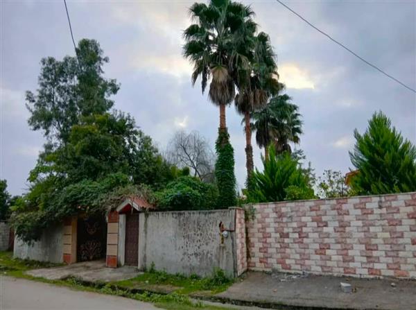 ویلای فلت حیاط دار