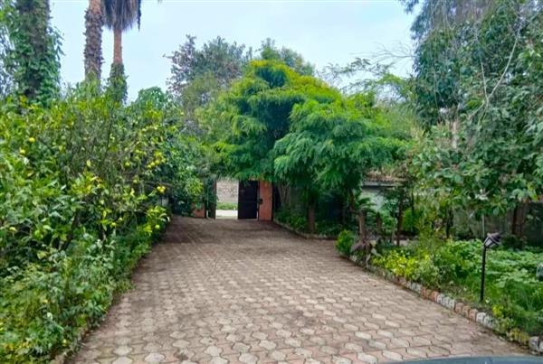 ویلای فلت حیاط دار