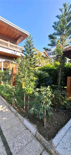 ویلا دوبلکس استخردار