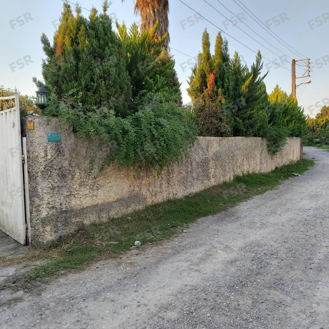 باغ ویلا