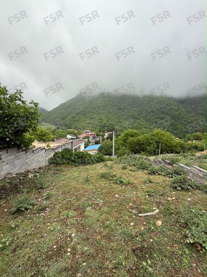 فروش زمین جنگلی 
